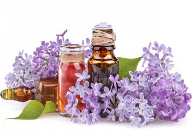 Lilac infusion